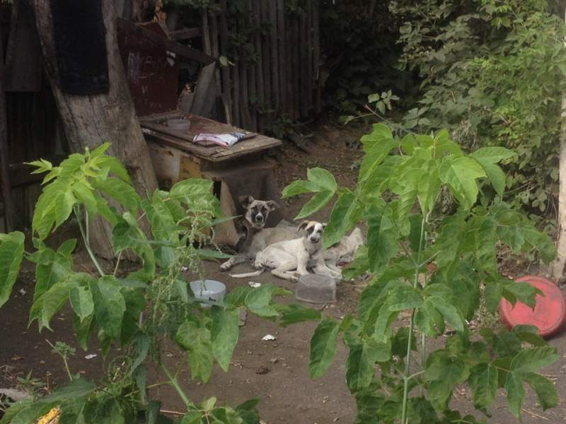 бажова0.jpg