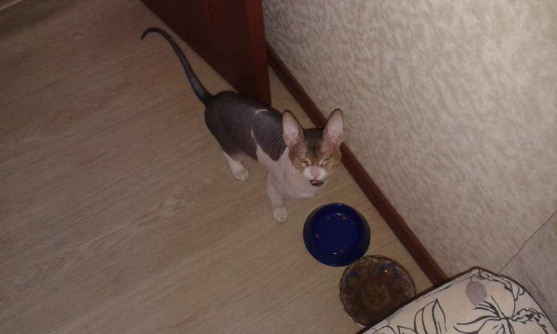 20160828_140644.jpg