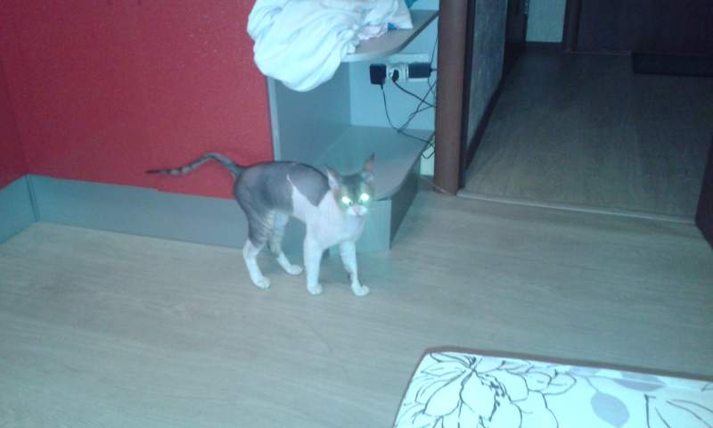 20160828_032812.jpg