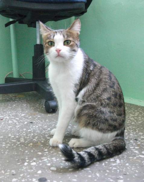 DSCF5376.jpg