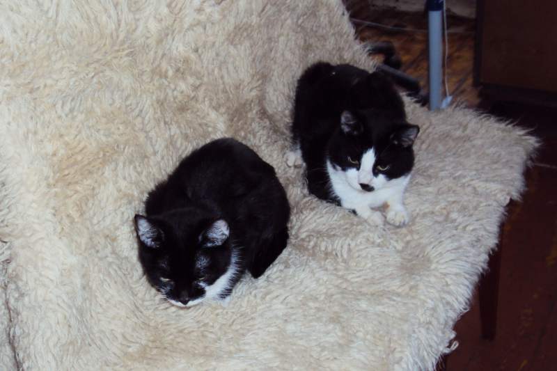 DSC00078.JPG