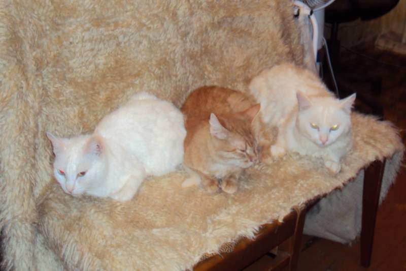 DSC00105.JPG