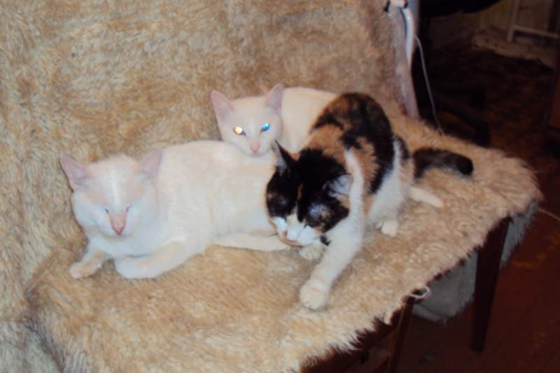 DSC00106.JPG