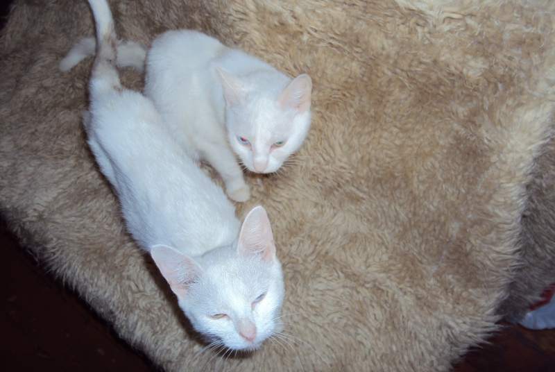 DSC00083.JPG