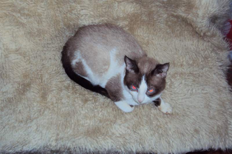 DSC00076.JPG