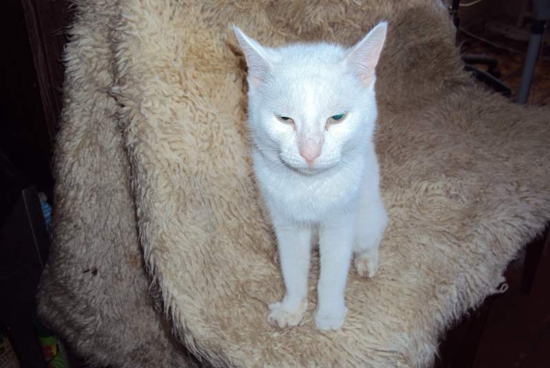 DSC00071.JPG
