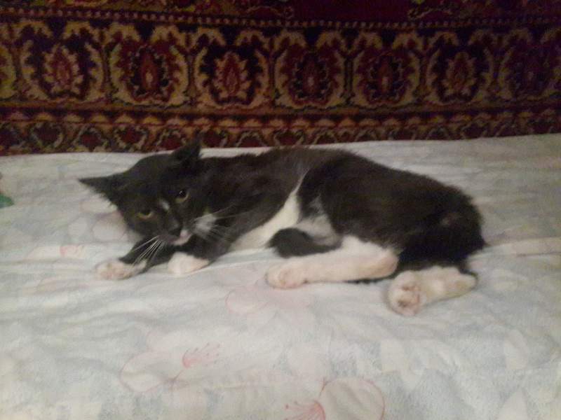 20161004_183002.jpg