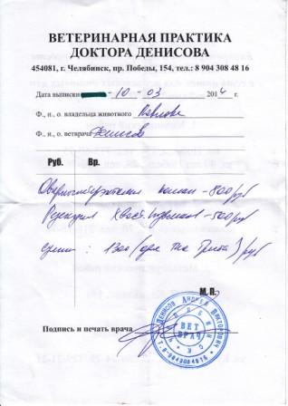 квитанция от Галины.jpg