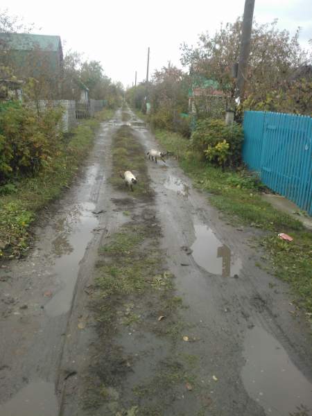 WP_002055.jpg