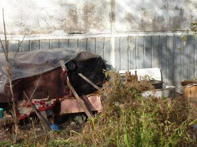 P1050793.JPG