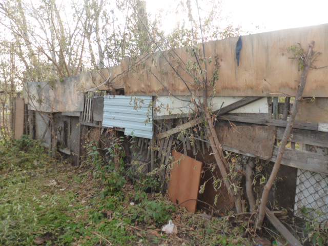 P1050797.JPG