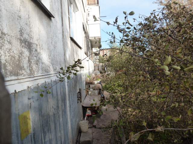 P1050789.JPG