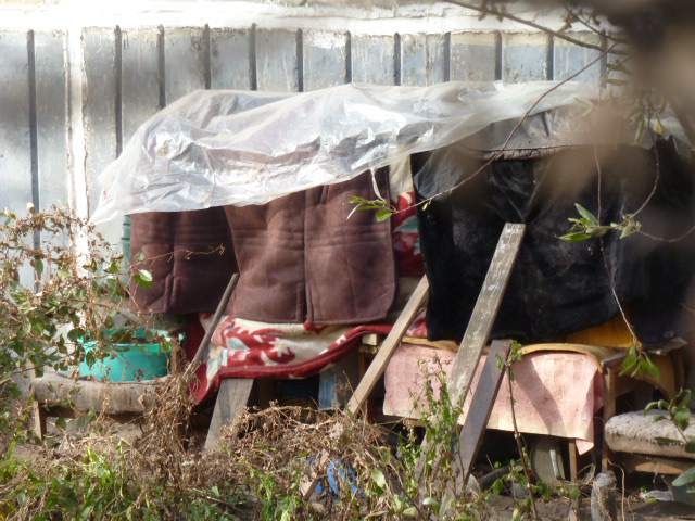 P1050796.JPG