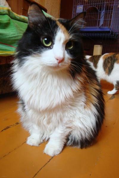 2016 09 17 DSC08346.JPG