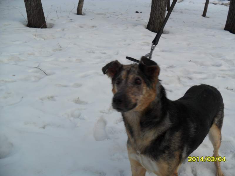 SAM_5810.JPG