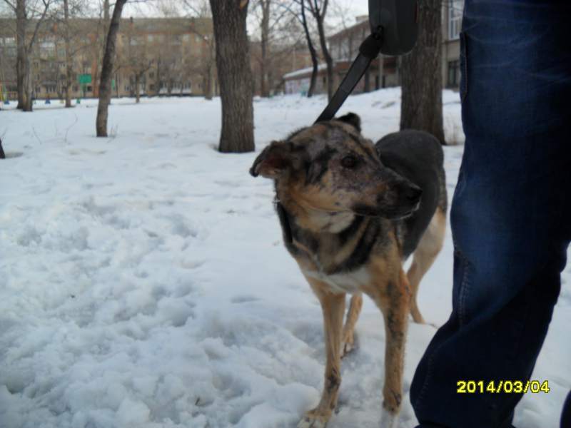 SAM_5820.JPG