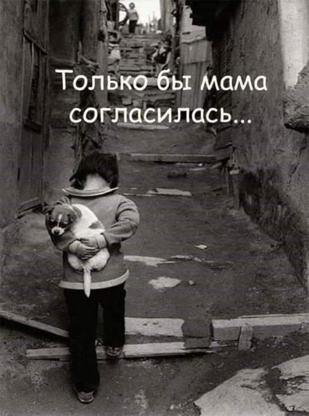 image (18).jpg
