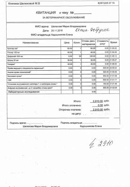 Чек анализы УЗИ приём кап-ца 25112016.jpg