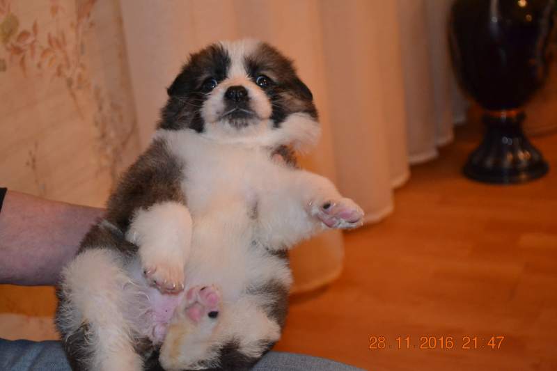 DSC_0012.JPG