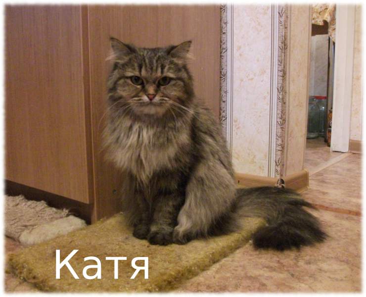 DSCF6424.JPG