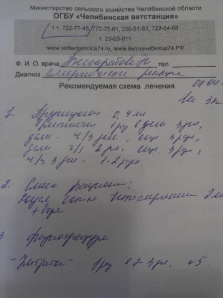 WP_000232.jpg