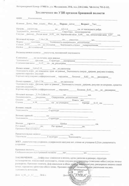УЗИ бр. полости Дыма - 01.12.2016.jpg