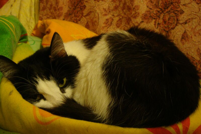DSC08883 Добруша 5 декабря.jpg