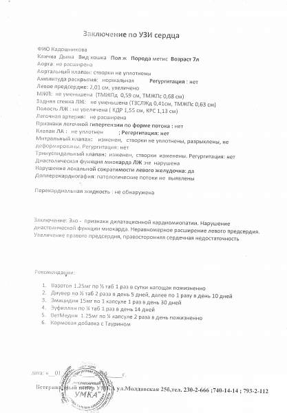 УЗИ сердца Дымочки SCAN7293_000.jpg