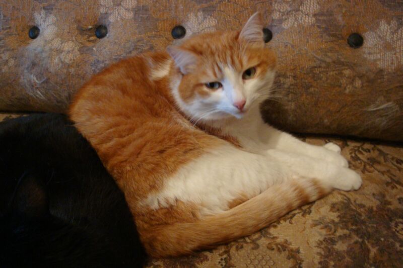 DSC08800Феликс 3 дек.jpg