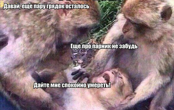 lxXQ5Nyzu50.jpg