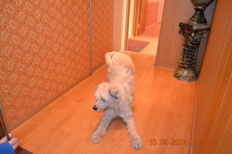 DSC_3711.JPG