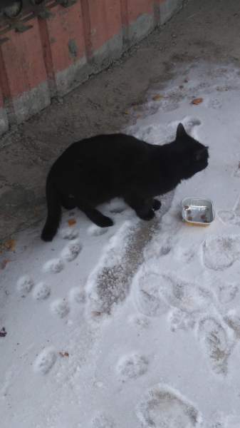 DSC_0111.JPG