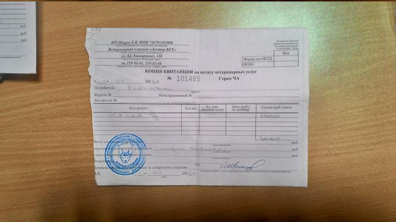 собака 01.07.16.jpg