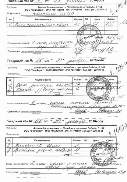 пчеки 28 29 30 дек 16.jpg