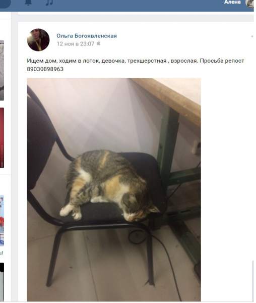 оля.jpg