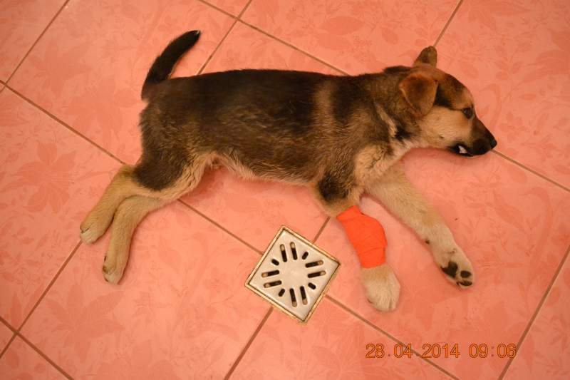 DSC_3800.JPG