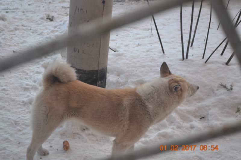 DSC_0432.JPG