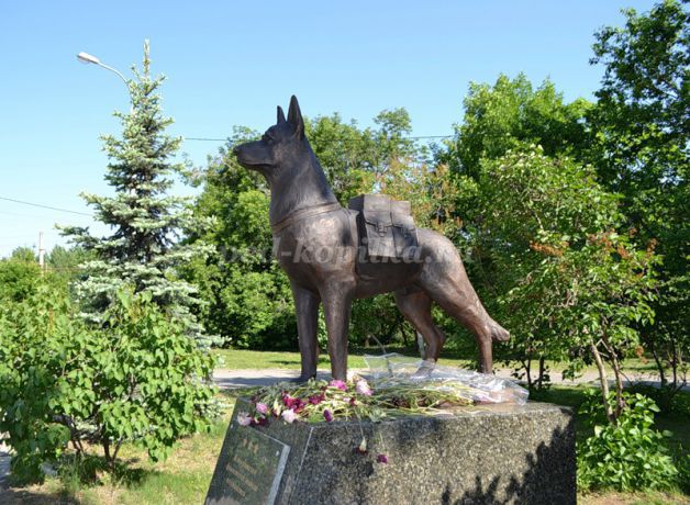 памятник собаке.jpg