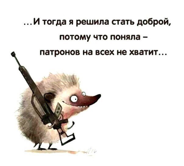 GSDqROOV81A.jpg
