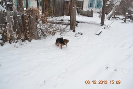 DSC_2736.JPG