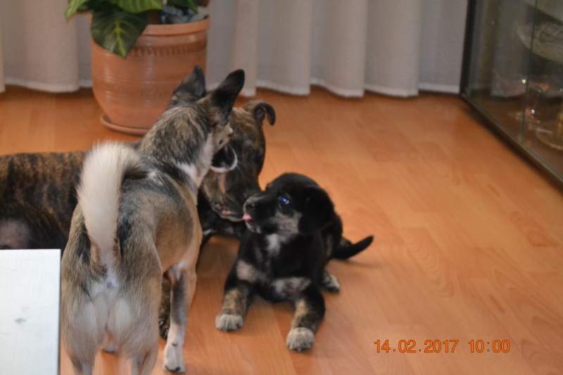 DSC_0599.JPG