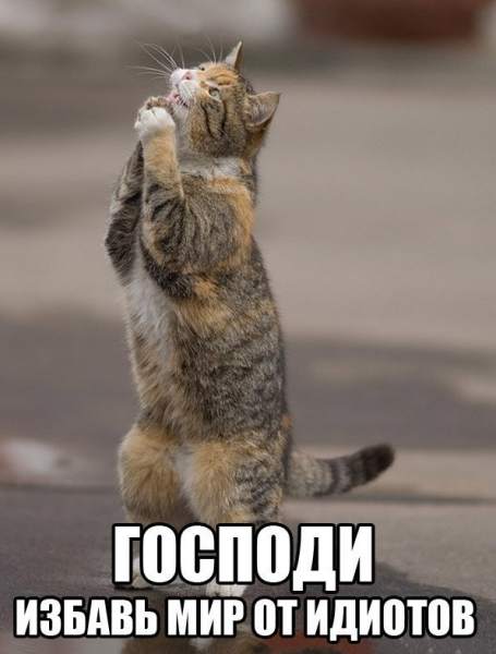 acloO28NHI8.jpg