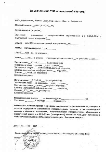 УЗИ моч пуз и почек Васе 06.03.2017.jpg