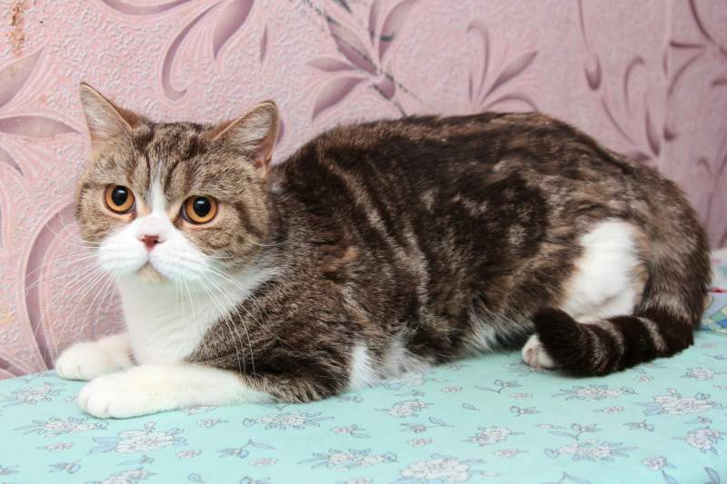 2017-03-05 11.00.07 1.jpg