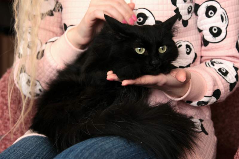 2017-03-05 10.59.29 1.jpg