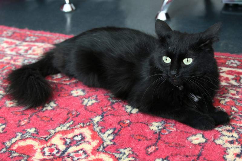 2017-03-05 10.59.36 1.jpg