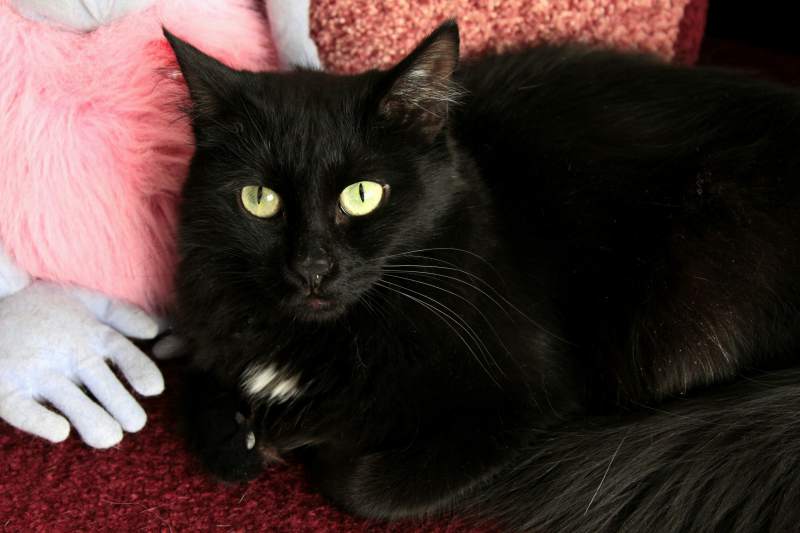 2017-03-05 10.59.54 1.jpg