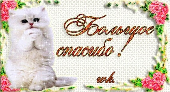 image-1.jpg