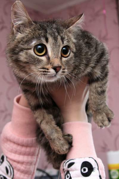 2017-03-05 11.00.24 1.jpg