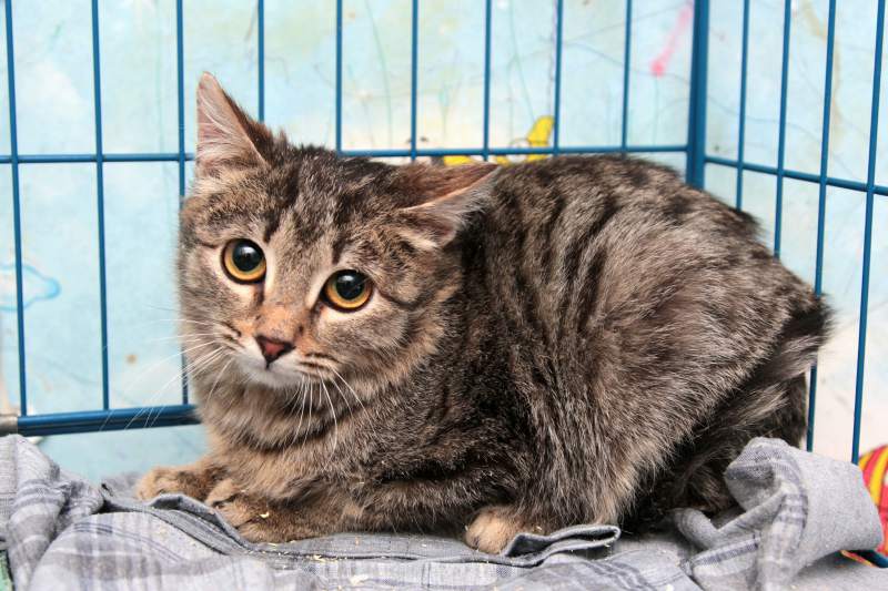 2017-03-05 11.00.28 1.jpg